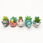 Succulent Plants Pot Pot Pot Most Popular Unicorn Succulent Plants Flower Pot