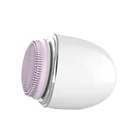 OEM Silicone Face Cleansing Brush Facial Pore Cleaner Beauty Tool