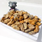 Frozen Mussel Frozen Mussel Meat