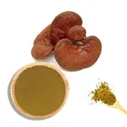 Real Reishi 100% Fruiting Body Hot Water Extraction Ganoderma Lucidum Extract Powder