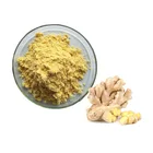 Hot Sale Chinese Dried Herbs Plant Ginger Root Extract Powder 5% Gingerol