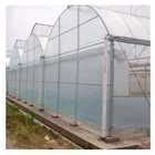 Factory outlet agricultural farm arch type PO film greenhouse for chilli