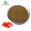 /product-detail/wellgreen-benefits-uses-organic-bulk-goji-berry-powder-60684040957.html