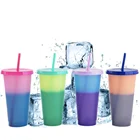 Tumbler Designer Coffee Mugs 700ml Color Changing Mug Plastic Color Changing Tumbler Cheap Plastic Tumbler With Straw