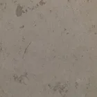 agilawood beige limestone slab
