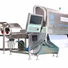 fresh pea color sorting machine beans color sorter frozen fruit vegetable color sorting machine