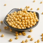 Beans High Quality Non Gmo Soybean Soya Beans For Oil Plant