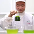 Bulk organic Natural Barley Grass Powder Barley Juice Powder