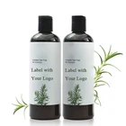 300ML Hot sell new product professional ginger hair growth shampoo for women hair fall treatment