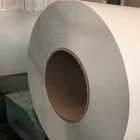 Hot Sale Prime Price Steel Manufacturer Color Coated Steel Coil Roll