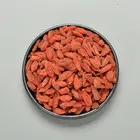 High quality health dried wolfberry fruits red chinese goji berry