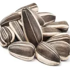 361 factory sale 210 220 big size raw Sunflower seed