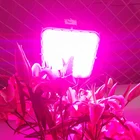 High Quality Led Light 5 Years Warranty 3500k 6000k Europe Etl Dlc Rohs Indoor Output Plant Growth Grow