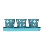 Set of 3 Modern Farmhouse Vintage Galvanized Metal Herb Plant Pot Planter with Tray
