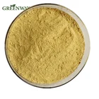 High Quality 100% Natural Ginger Extract Powder/Ginger Extract
