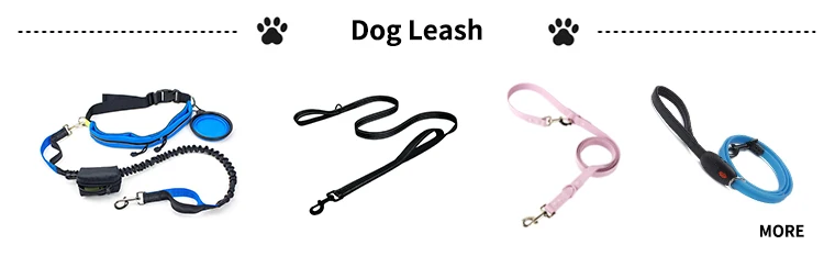 leash.jpg