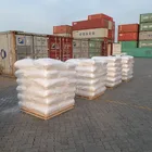 white powder HPMC//HEMC/CMC/RDP/HEC for building materials in India