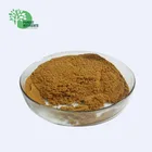 Nutritional Fruit Chinese Red Date Extract Red Jujube Extract Powder