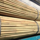 Hot!! Wholesale Natural Dry Straight tonkin Bamboo Cane Bamboo Stick Bamboo Pole Fumigation for agriculture