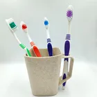 Custom logo low price home travel different bristles material plastic adult toothbrush