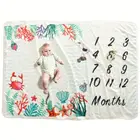 Wholesale high quality photo background cloth baby flannel growth blanket
