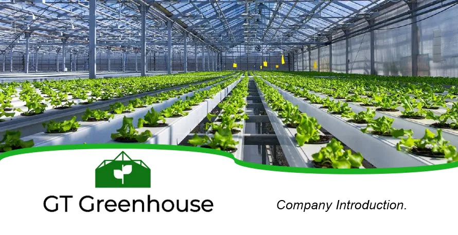 green house,global warming good price small greenhouse for agriculture.