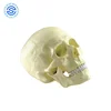 /product-detail/cheap-anatomical-human-skull-model-human-skeleton-model-teaching-training-model-for-sale-62304033918.html