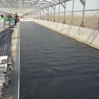 Hot sale hdpe smooth fish farm pond liner geomembrane for landfill 3mm