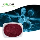 immune Ingredient black elderberry fruit juice extract powder
