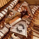 Brand False Eyelashes 2020 New Brand Korean Silk False Eyelashes And Colorful Lash Boxes