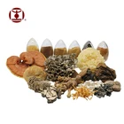 乾燥したライオンズたてがみ霊芝 Lucidium 椎茸マイタケ Trametes オイスター Agricus Blazei チャーガ冬虫夏草エキス