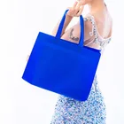 Promotional Pp Non Woven Bag Promotional Custom Printed Recycle PP Non Woven Fabric Carry Bag