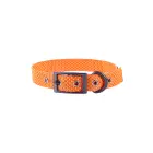 Wholesales Custom Pattern Design Heat Transfer Printing Cheap Dog Collar Leash Personalized with Different Colors