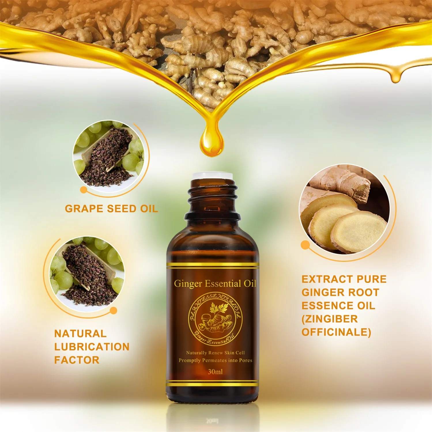 ginger oil (4).jpg
