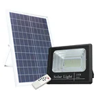 Stone Stainless Steel Waterproof 100w Led Solar Garden Stake Light