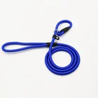 Hot sale nylon material woven P chain overall training pet dog leash