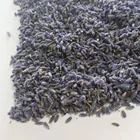 4003 Xun yi cao Wholesale organic lavender dried lavender buds lavender flower tea