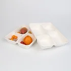 NP002 Compostable Sugar Cane Fiber Heavy Duty Plate 4-Compartment American box Case