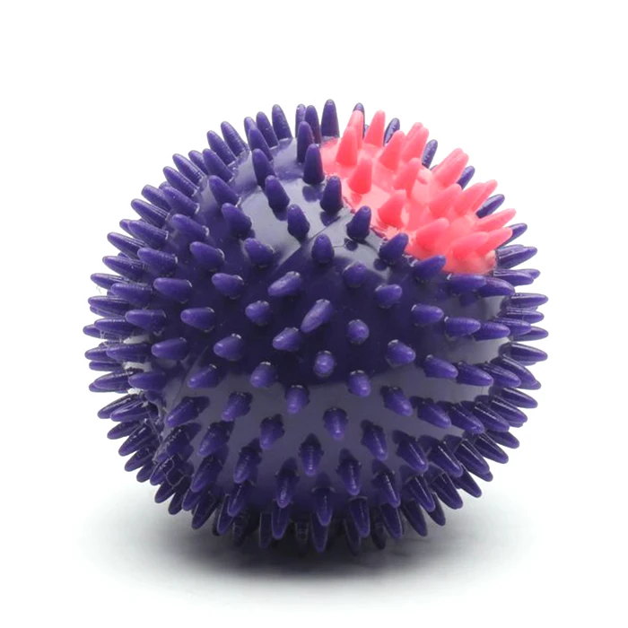 spiky squeaky dog ball
