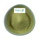 Moringa Oleifera Moringa Powder FocusHerb Moringa Oleifera Powder Bulk