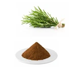 Hongda Factory Supply Natural Rosmarinic Acid Powder Rosemary Extract Powder Rosemary Extract