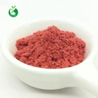 Manufacturer Price Bulk Freeze Dried Strawberry Powder