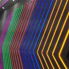 100M Waterproof 5050 220V RGB Led Strip Flexible LED Strip Light with power plug 24key remote control