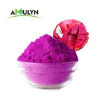 100% natural red dragon fruit powder pitaya powder for Beverage Ingredient