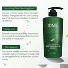 pure herbal extract shampoo for moisturizing and repairing hair care argan oil shampoo with 360ml