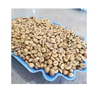 Coffee Beans Arabica Nice Prices Raw Coffee Beans Whole Arabica Green Coffee Beans