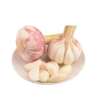 Natural Garlic Garlic Garlic Best Natural Garlic