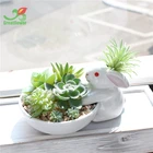 Ceramic Animal pot with Artificial Succulent for Home decoration