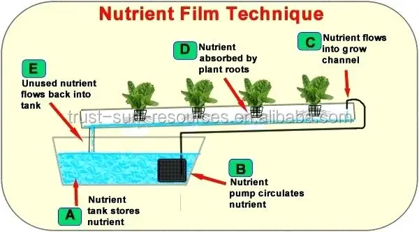 Nft Картинки Цена Nft Картинки Цена