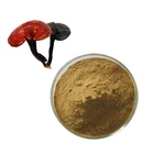 Wholesale Natural Pure reishi duaal extract reishi mushroom powder